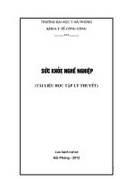 SỨC KHỎE NGHỀ NGHIỆP, ĐẠI HỌC Y HẢI PHÒNG