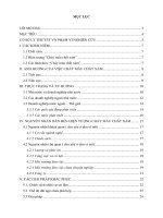 Tiểu luận môn hành vi tổ chức nguyên nhân chảy máu chất xám trong các tổ chức hiện nay thực trạng và giải pháp khắc phục