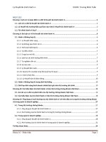 Tiểu luận lý thuyết tài chính hành vi 