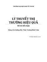 Tiểu luận lý thuyết thị trường hiệu quả 