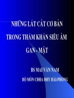 NHỮNG LÁT CẮT CƠ BẢN TRONG THĂM KHÁM SIÊU ÂM GAN - MẬT