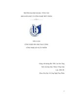 TIỂU LUẬN CÔNG NGHỆ hóa học đại CƯƠNG CÔNG NGHỆ sản XUẤT NHÔM