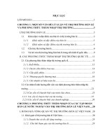 Chiến lược thâm nhập của các tập đoàn nước ngoài vào thị trường việt nam