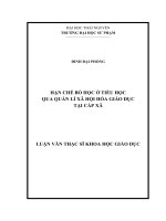 Hạn chế bỏ học ở tiểu học qua quản lí xã hội hóa giáo dục tại cấp xã