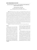 Khả năng xúc tác quang của tio2 biến tính n tổng hợp bằng phương pháp đun hồi lưu