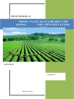 Thuyết minh dự án trồng và sản xuất chế biến chè olong chè viên chất lượng cao