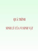 bài giảng QUÁ TRÌNH SINH lý của VI SINH vật