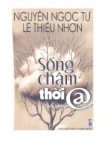 Sống chậm thôi  nguyễn ngọc tư