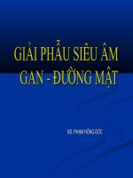 GIẢI PHẪU SIÊU ÂM GAN - ĐƯỜNG MẬT