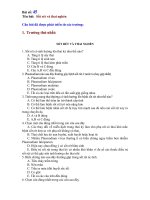 TRẮC NGHIỆM SỐT RÉT VÀ THAI NGHÉN