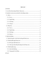 thảo luận thương mại điện tử phân tích và đưa ra thiết kế, xây dựng cho hệ thống website pume com để hiểu rõ hơn về cấu trúc và thiết kế của một website TMĐT