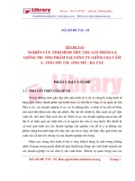 NGHIÊN CỨU TÌNH HÌNH TIÊU THỤ SẢN PHẨM GÀ GIỐNG THƯƠNG PHẨM TẠI CÔNG TY GIỐNG GIA CẦM LƯƠNG MỸ- CHƯƠNG MỸ -HÀ TÂY