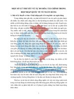 MỘT SỐ LÝ THUYẾT VỀ TỰ DO HÓA TÀI CHÍNH TRONG HỘI NHẬP QUỐC TẾ VỀ NGÂN HÀNG