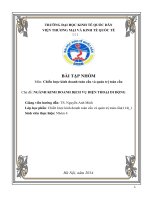 Chiến lược kinh doanh toàn cầu và quản trị toàn cầu nghành kinh doanh dịch vụ điện thoại di động