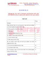 DUY TRÌ VÀ MỞ RỘNG THỊ TRƯỜNG TIÊU THỤ SẢN PHẨM Ở CÔNG TY BÓNG ĐÈN PHÍCH NƯỚC RẠNG ĐÔNG