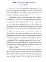 Tiềm năng văn hoá mường với việc phát triển du lịch của tỉnh hoà bình