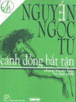 Cánh đồng bất tận  tg nguyễn ngọc tú