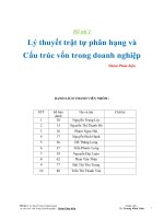 Lý thuyết trật tự phân hạng và cấu trúc vốn trong doanh nghiệp 