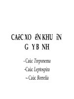 CÁC XOẮN KHUẨN GÂY BỆNH