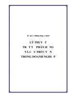 Tiểu luận lý thuyết trật tự phân hạng và cấu trúc vốn trong doanh nghiệp 
