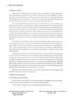 SPSS FOR WINDOWS - MÔ TẢ THỐNG KÊ BẰNG CÁC BIỂU ĐỒ, ĐỒ THỊ