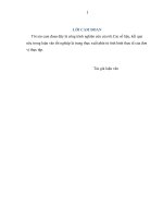 Thực trạng thu hút FDI vào các khu công nghiệp tỉnh kiên giang