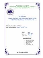 Tiểu luận môn marketing căn bản chiến lược giá cho dòng nước ép trái cây công ty Rita Food & Drink Co., LTD