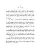 Thực trạng và một số yếu tố liên quan đến bệnh phổi tắc nghẽn mạn tính tại bệnh viện hữu nghị việt   tiệp hải phòng năm 2010  2012