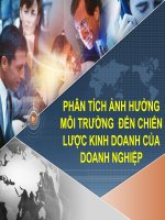 Phân tích ảnh hưởng môi trường đến chiến lược kinh doanh của doanh nghiệp 