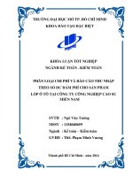 Phân loại chi phí và báo cáo thu nhập theo số dư đảm phí cho sản phẩm lốp ô tô tại công ty cổ phần công nghiệp cao su miền nam