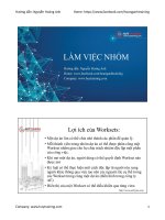 LÀM VIỆC NHÓM (WORKSETS) TRONG REVIT