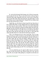 bức thư của người đàn bà không quen