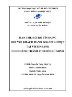 Hạn chế rủi ro tín dụng đối với khách hàng doanh nghiệp tại Vietinbank chi nhánh Thành phố Hồ Chí Minh