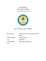 Báo cáo thực tập: phân tích tình hình tài chính của Công ty CP Tư Vấn  Xây Dựng Công Trình Văn Hóa