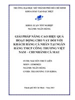 Giải pháp nâng cao hiệu quả hoạt động cho vay đối với khách hàng cá nhân tại ngân hàng thương mại cổ phần Công thương Việt Nam Chi nhánh Cà Mau