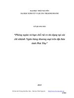 Phòng ngừa và hạn chế rủi ro tín dụng tại các chi nhánh ngân hàng thương mại trên địa bàn tỉnh phú thọ
