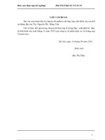 Tổ chức kế toán nguyên vật liệu ở Công ty cổ phần dịch vụ và thương mại Vietservices