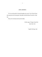 GIẢI PHÁP cải THIỆN môi TRƯỜNG đầu tư NHẰM THU hút đầu tư TRỰC TIẾP nước NGOÀI (FDI) tại TỈNH QUẢNG NINH