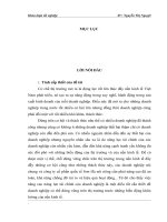 Giải pháp nâng cao  năng lực tài chính của công ty cổ phần quốc tế Sơn Hà trong thời buổi hiệ nay