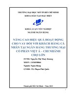 Nâng cao hiệu quả hoạt động cho vay đối với khách hàng cá nhân tại ngân hàng thương mại cổ phần Việt Á Chi nhánh Chợ Lớn