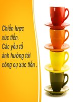 Thuyết trình môn marketing căn bản chiến lược xúc tiến của công ty gốm sứ minh long 