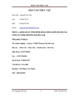 Báo cáo thực tập: II.Hoạt động xây dựng chiến lược và kế hoạch marketing mix của công ty TNHH THƯƠNG MẠI ĐỨC LỢI