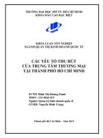 Các yếu tố thu hút của trung tâm thương mại tại Thành Phố Hồ Chí Minh