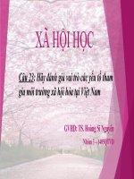 Vai trò các yếu tố tham gia môi trường xã hội hóa tại Việt Nam