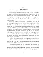 “Phát triển rừng trồng sản xuất tại huyện Cam Lộ - tỉnh Quảng Trị”