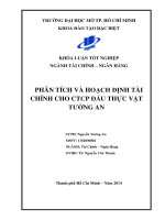 Phân tích và hoạch định tài chính cho công ty cổ phần dầu thực vật Tường An