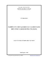 Nghiên cứu chế tạo điện cực cacbon nano biến tính và định hướng ứng dụng