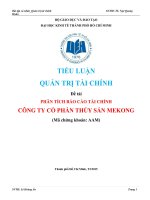 Tiểu luận quản trị tài chính phân tích báo cáo tài chính công ty cổ phần thủy sản mekong 