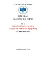 Tiểu luận quản trị tài chính phân tích báo cáo tài chính công ty cổ phần nhựa rạng đông 