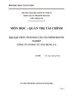 Tiểu luận quản trị tài chính phân tích báo cáo tài chính doanh nghiệp công ty cổ phần đầu tư xây dựng 3   2 